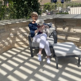 a person and a dog in the shade