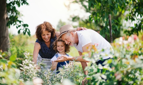 Maintenance- Free Living Cover Image
